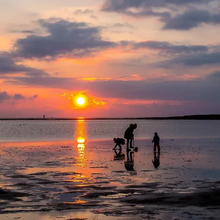 Mellumplate 33 * Dorumer Neufeld