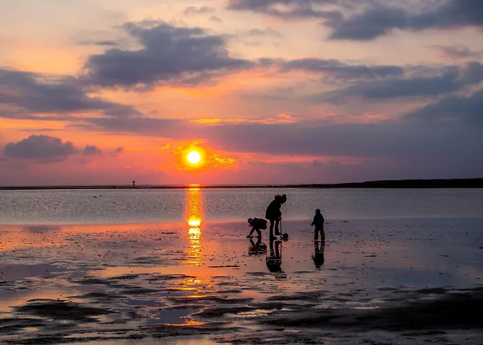 Mellumplate 33 * ドルム・ノイフェルト