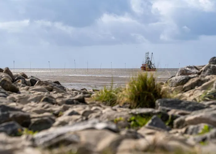 別荘 Mellumplate 33 ドルム・ノイフェルト